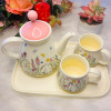 Ins-Style Ceramic Tea Set – One Pot, Two Cups & One Tray
