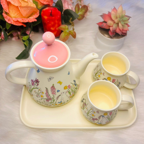 Ins-Style Ceramic Tea Set – One Pot, Two Cups & One Tray
